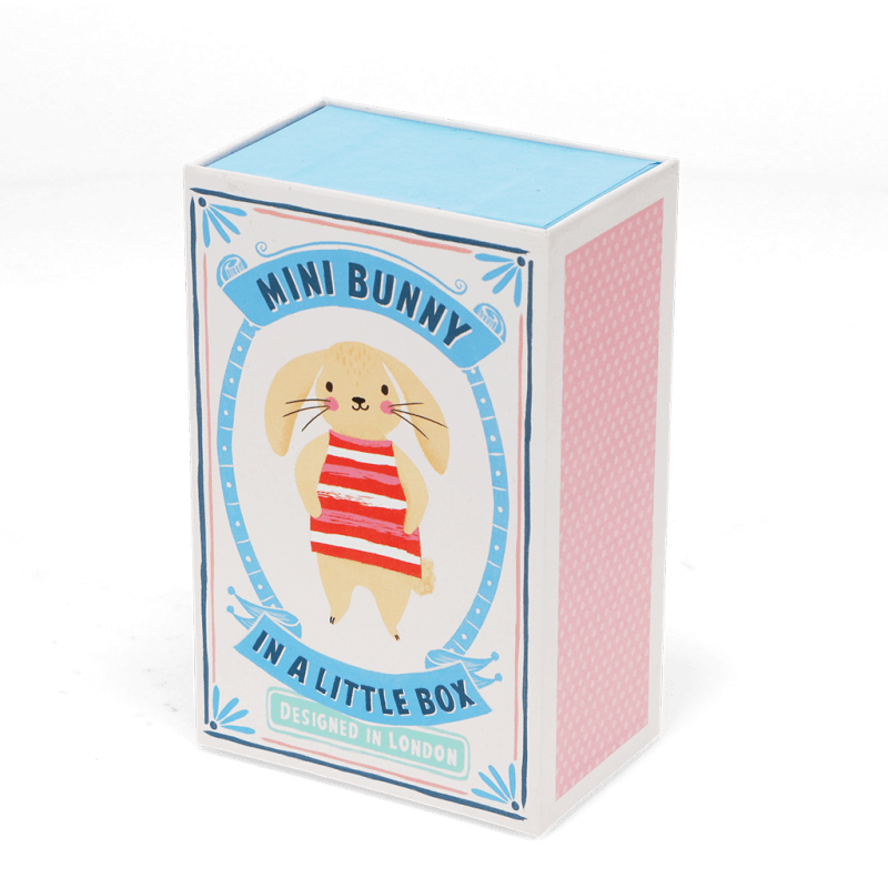 Mini Bunny in a box