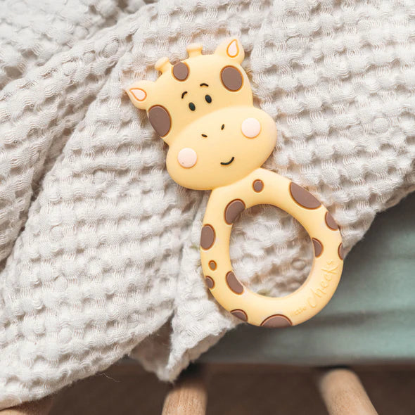 Geraldine the Giraffe teether and "That's not my" book