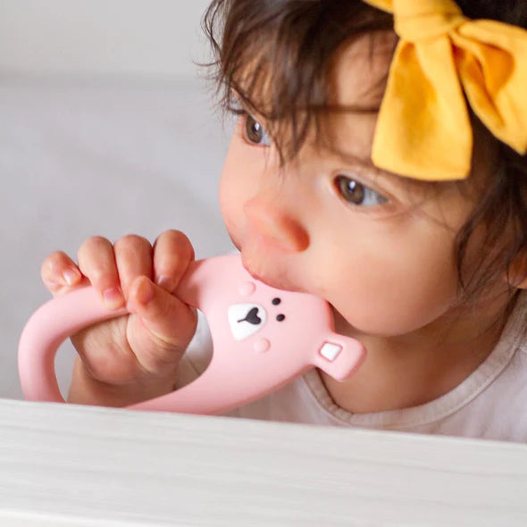 Efi bear teether