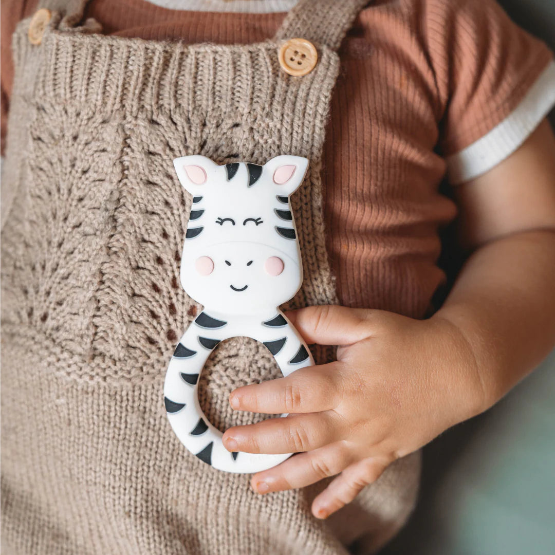 Ziggy the Zebra teether and book