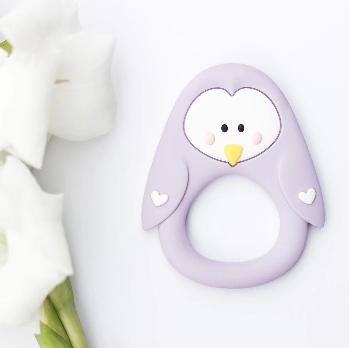 That’s not my penguin & teether