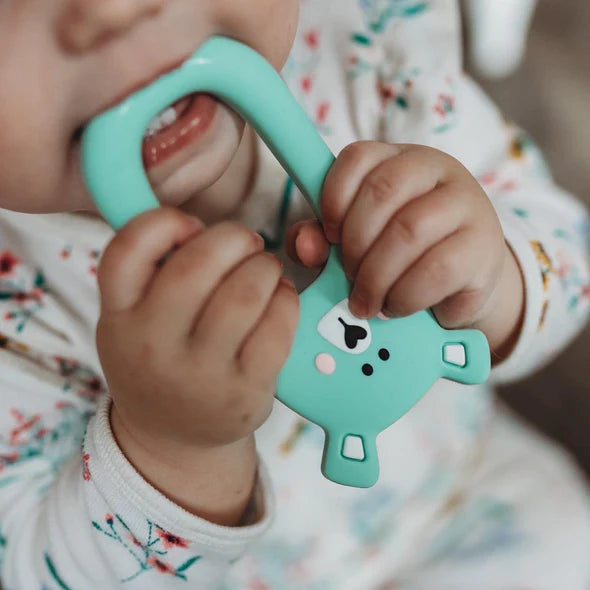 Efi bear teether